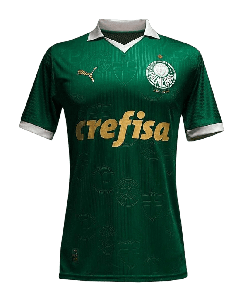 Camisa Palestra Puma Jogador 2024/25 Masculino Verde (cópia)