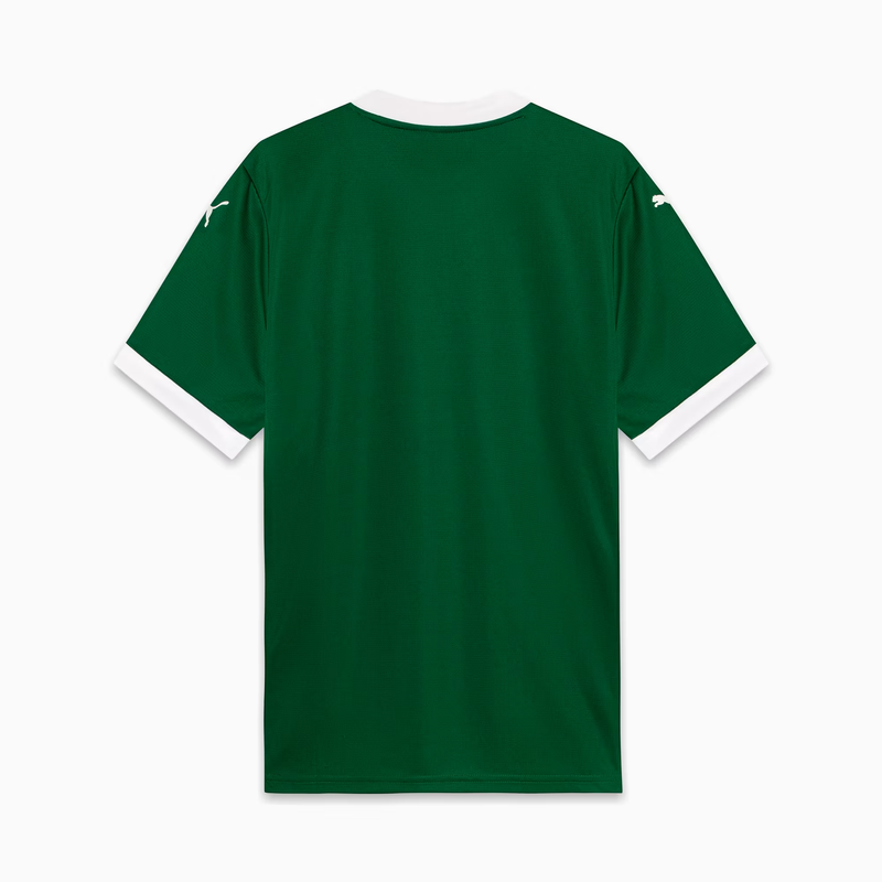 Camisa Palmeiras Home 25/26 Torcedor Masculina Verde