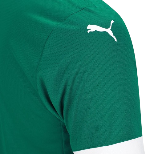 Camisa Palmeiras Home 25/26 Torcedor Masculina Verde