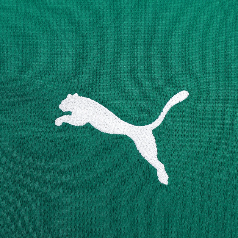 Camisa Palmeiras Home 25/26 Torcedor Masculina Verde